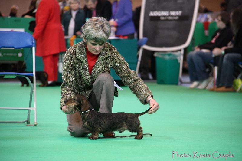 Crufts2011_2 720.jpg